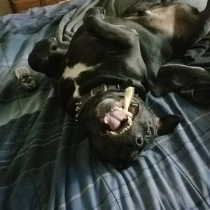 Meet your Posher, Joseph